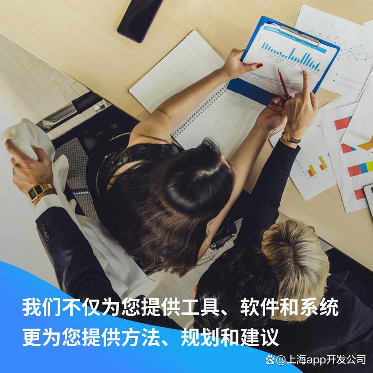 上海专业的软件外包开发公司