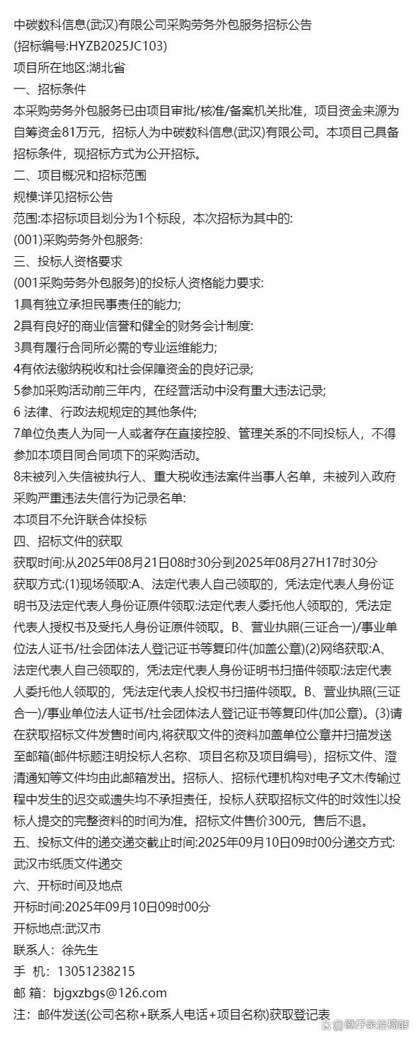 采购劳务外包服务招标公告